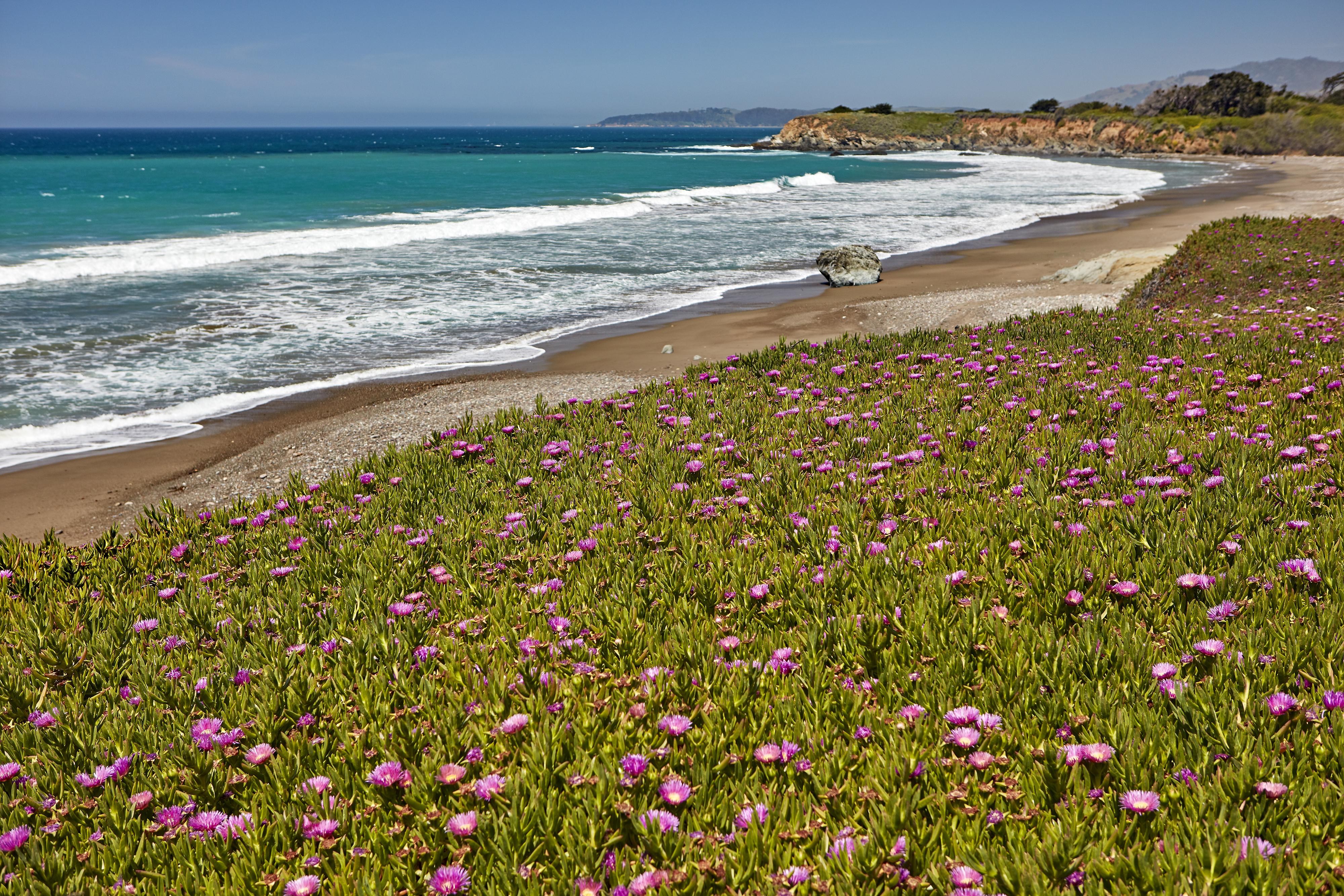 Cavalier Oceanfront Resort San Simeon Exterior foto